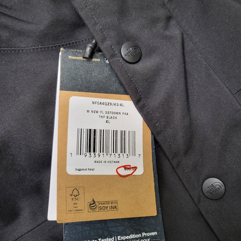 The north face The New Defdown Futurelight Parka - Picture 7 of 16